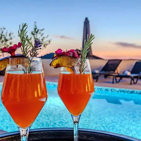 Carre Violet Ferienhaus Ražanj