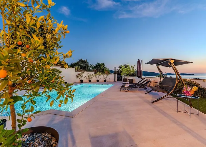 Carre Violet Dom wakacyjny Ražanj